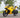 800W Racing Bicycle Price Adult Electric Motorcycle Electric Motorcycle Big Space Battery Fat Tire Electric Motorcycle